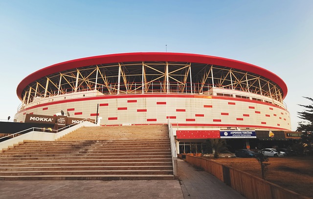 的角度来看 的角度来看